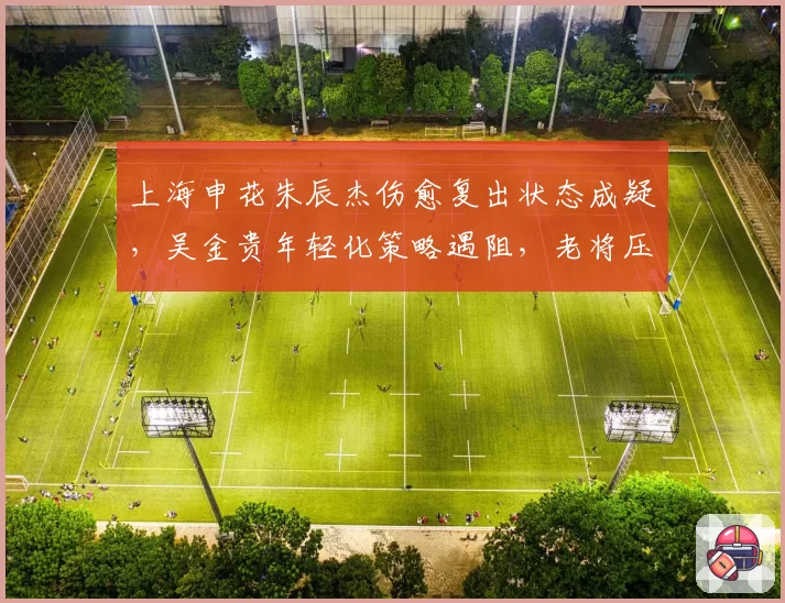 上海申花朱辰杰伤愈复出状态成疑，吴金贵年轻化策略遇阻，老将压阵是否必要？
