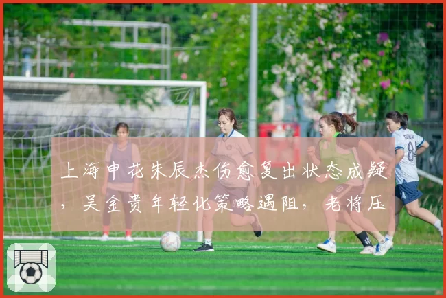 上海申花朱辰杰伤愈复出状态成疑，吴金贵年轻化策略遇阻，老将压阵是否必要？