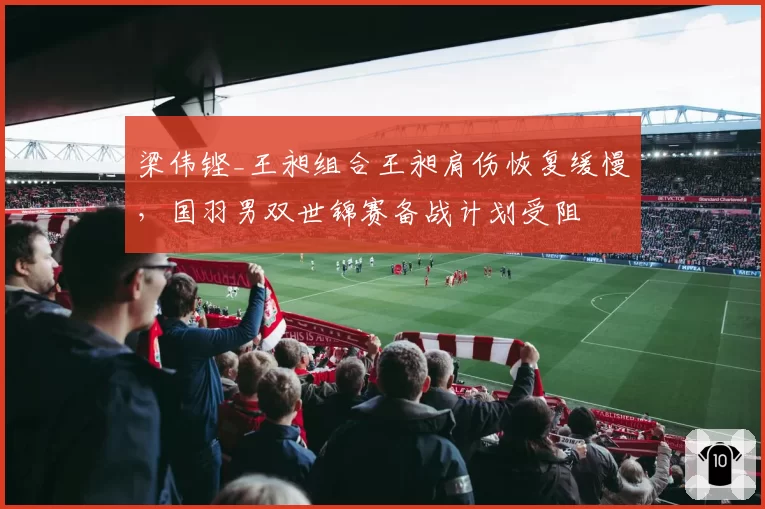 梁伟铿_王昶组合王昶肩伤恢复缓慢，国羽男双世锦赛备战计划受阻