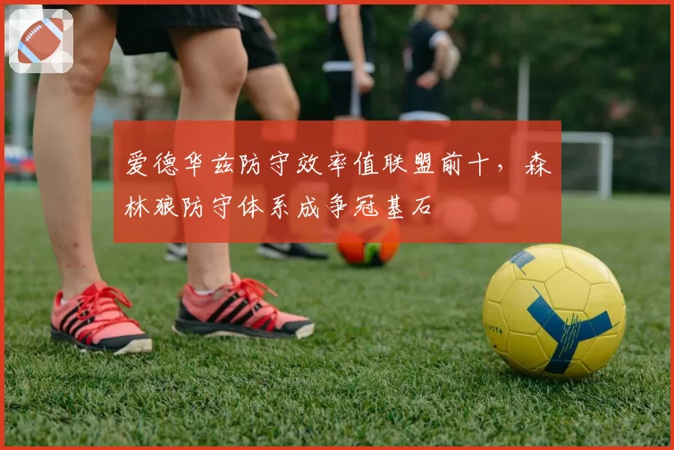 爱德华兹防守效率值联盟前十，森林狼防守体系成争冠基石