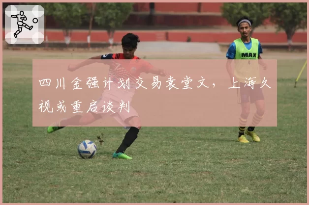 四川金强计划交易袁堂文，上海久视或重启谈判